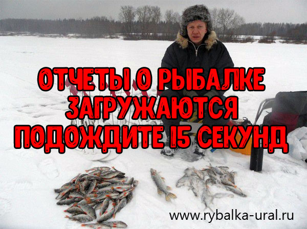 Отчеты о рыбалке на Урале за ноябрь 2019