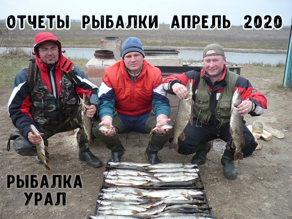 Отчеты о рыбалке на Урале за апрель 2020 все про рыбалку