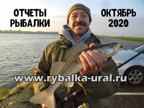 Отчеты о рыбалке на Урале за октябрь 2020 все про рыбалку