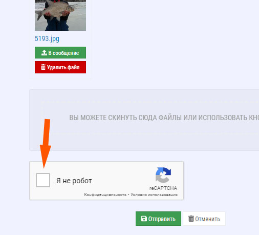 Добавить фото с отчётом о рыбалке