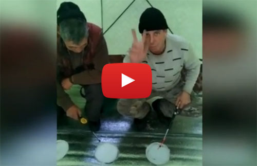 Смотреть видео на Youtube про рыбалку во дворе в палатке