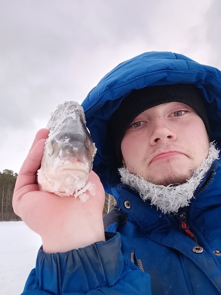 Как ловят сазана на урале